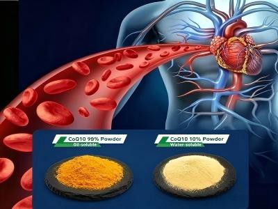 코엔자임 Q10을 선택하는 방법은 무엇입니까?